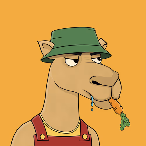 Camelsnftio