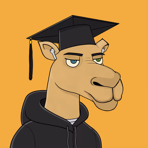 Camelsnftio