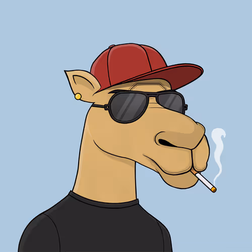 Camelsnftio