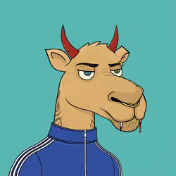 Camel #2956