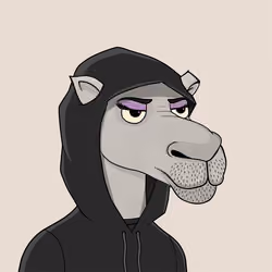 Camel #3526