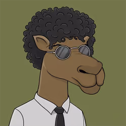 Camel #4216