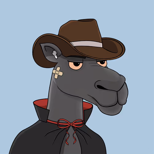 Camelsnftio