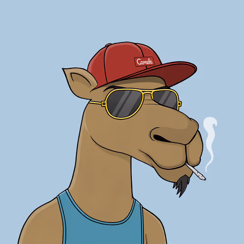 Camelsnftio