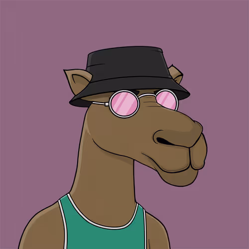 Camelsnftio