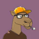 Camel #1900