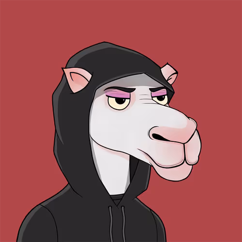 Camelsnftio