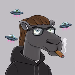 Camel #2793
