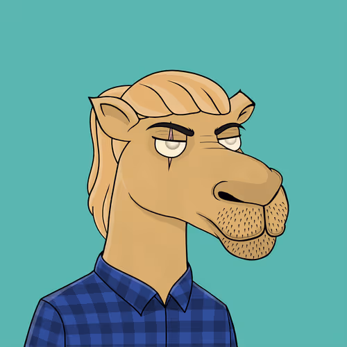 Camelsnftio