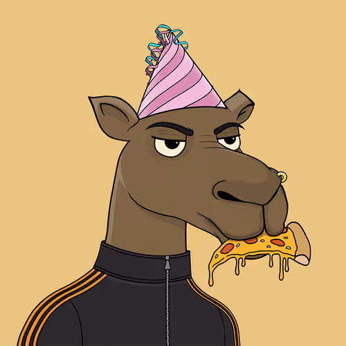 Camelsnftio