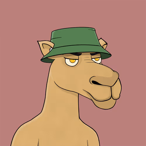 Camelsnftio