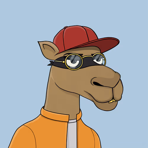 Camelsnftio