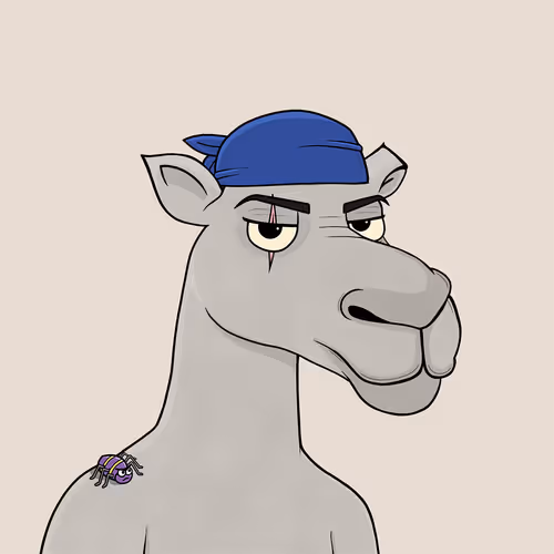 Camelsnftio