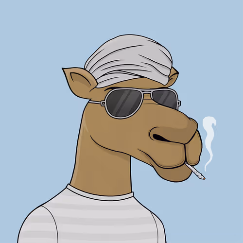 Camelsnftio