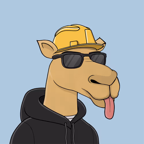 Camelsnftio