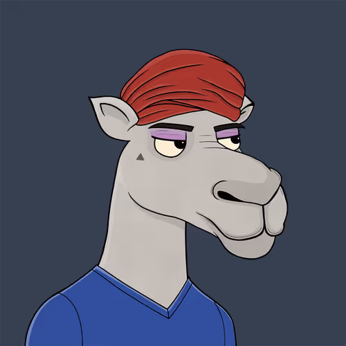 Camelsnftio