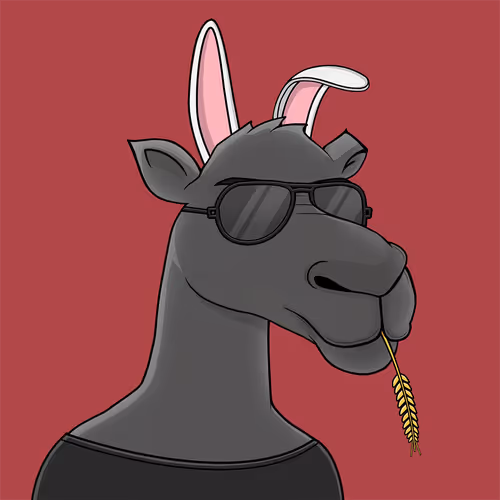Camelsnftio