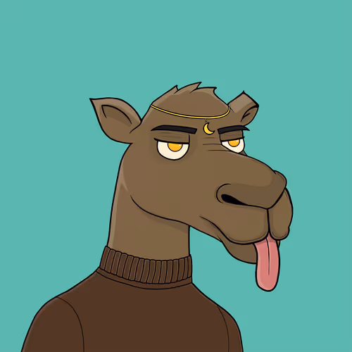 Camelsnftio