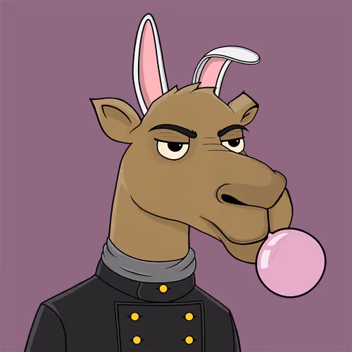 Camelsnftio