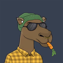 Camel #1467
