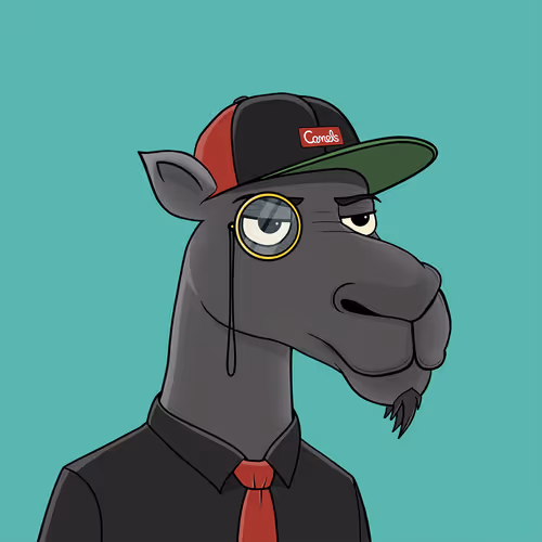 Camelsnftio