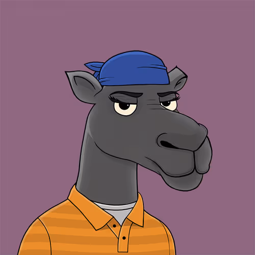 Camelsnftio