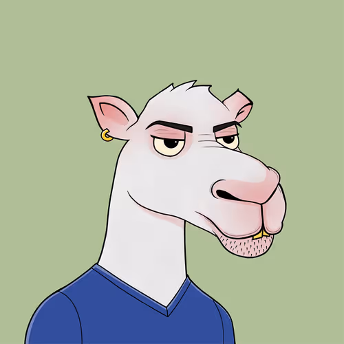 Camelsnftio