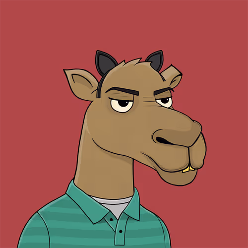Camelsnftio