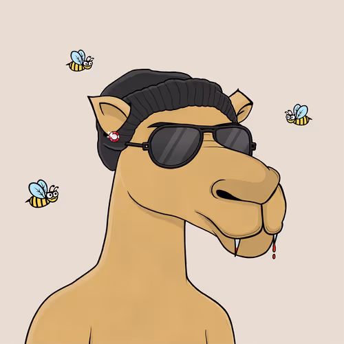Camelsnftio