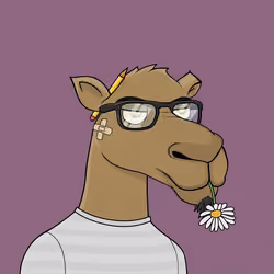Camel #6960