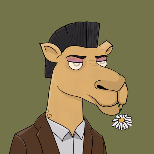Camel #6573