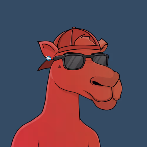 Camelsnftio