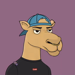 Camel #6333