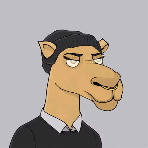Camelsnftio