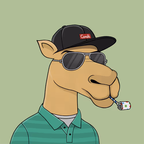 Camelsnftio