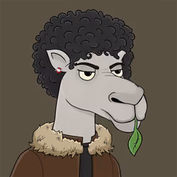 Camel #4150