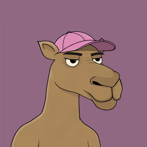 Camelsnftio