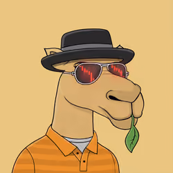 Camel #398