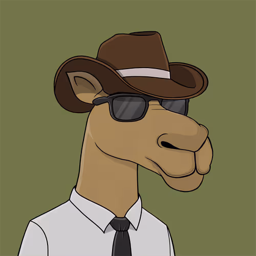 Camelsnftio
