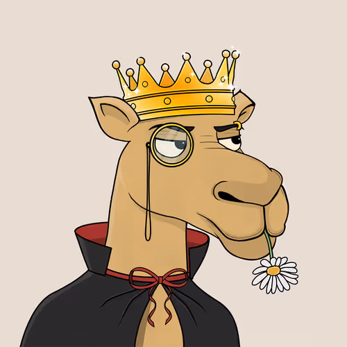Camelsnftio