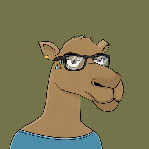 Camelsnftio