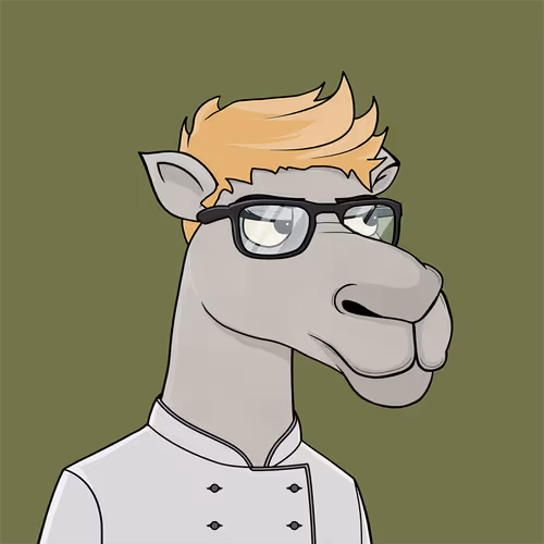 Camelsnftio
