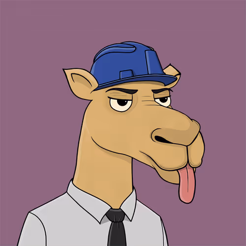 Camelsnftio