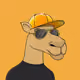 Camel #7330