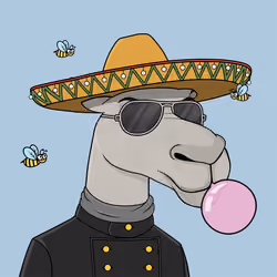 Camel #1747