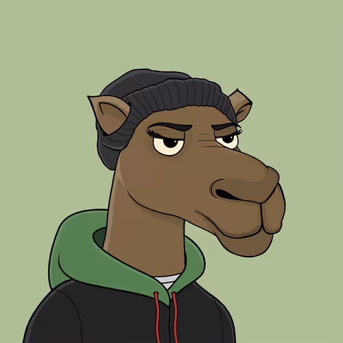 Camelsnftio