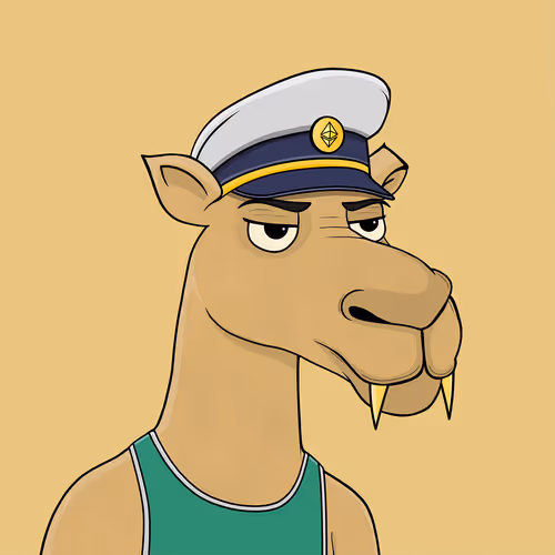 Camelsnftio