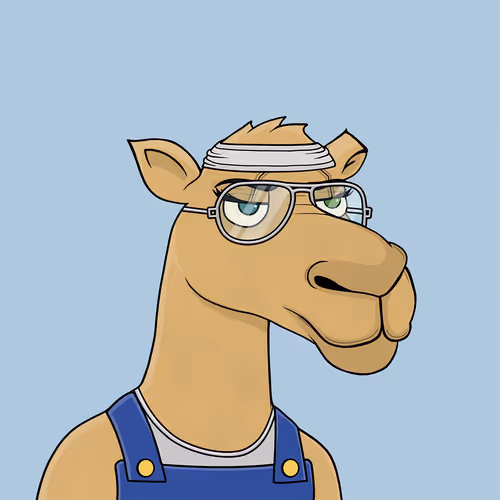 Camelsnftio