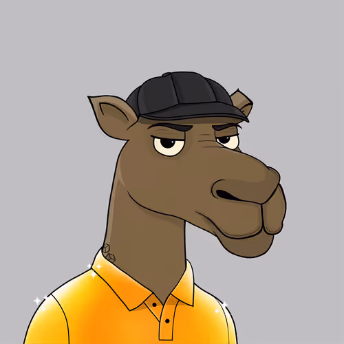 Camelsnftio