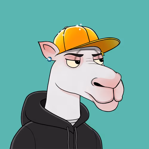 Camelsnftio